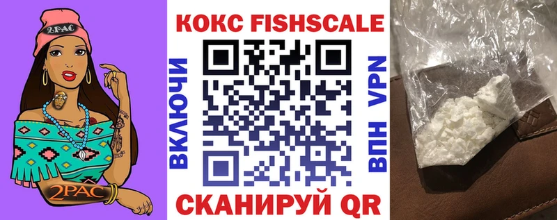 COCAIN Fish Scale  купить   Урень 