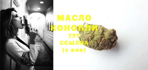 индика Осташков