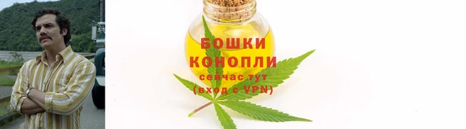 соль ск Магас