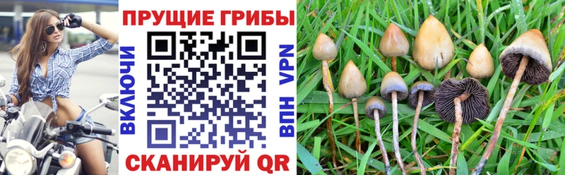 ОМГ ОМГ ONION  Урень  Галлюциногенные грибы Cubensis  где найти наркотики 